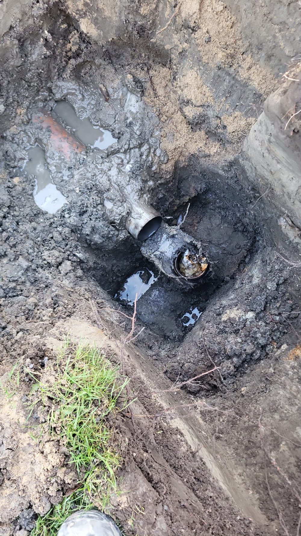 WhatsApp Image 2026 01 23 at 10.46.18